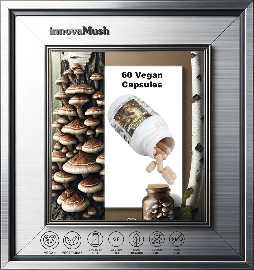 Chaga Mushroom Capsules